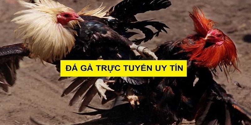 Những ưu điểm nổi bật không thể bỏ lỡ